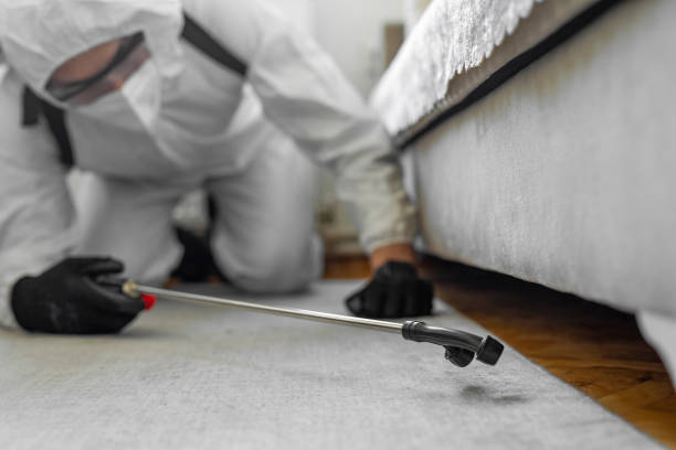 Professional Ant Control technician working in Flower Mound, TX